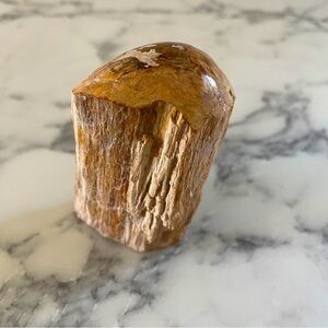 Petrified Wood